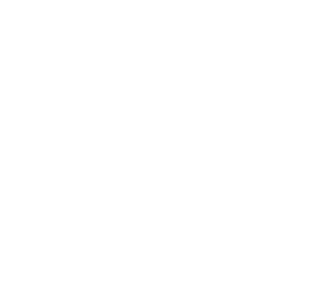 Region Skåne Logo